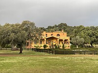 IMG_1428