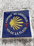 IMG_1450