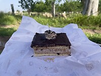 IMG_1515
