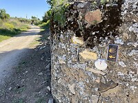 IMG_1561