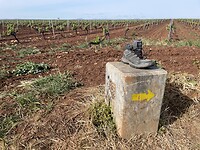 IMG_1595