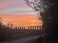 IMG_1730