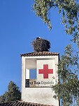 IMG_1743