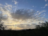 IMG_1843