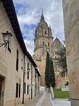IMG_2229
