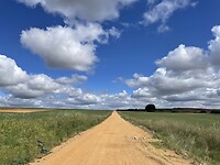 IMG_2294