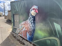 IMG_2298