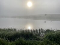 IMG_2307