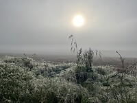 IMG_2309