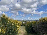 IMG_2316