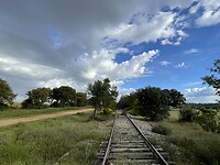 IMG_2331