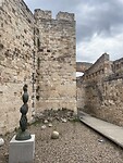 IMG_2423