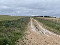 IMG_2460