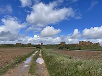 IMG_2481