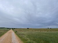 IMG_2498