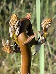 IMG_2635