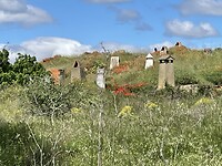 IMG_2659