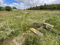 IMG_2724