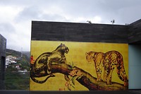 Museum moderne kunst (Casas das Mudas Arts)
