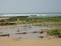 Lege stranden