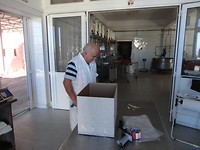 Inpakken van de kazen