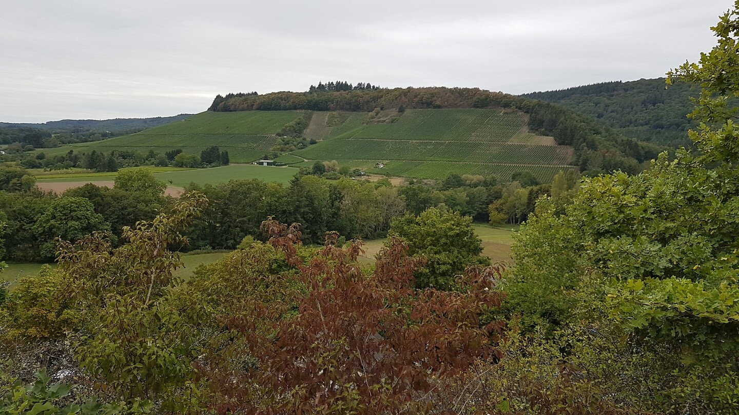De Vulkaneifel