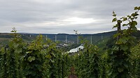 De Moseltalbrücke