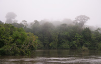 Ochtendgrijs in Suriname