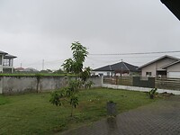 Ons tuintje in de regen