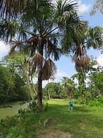 Overbridge River Resort