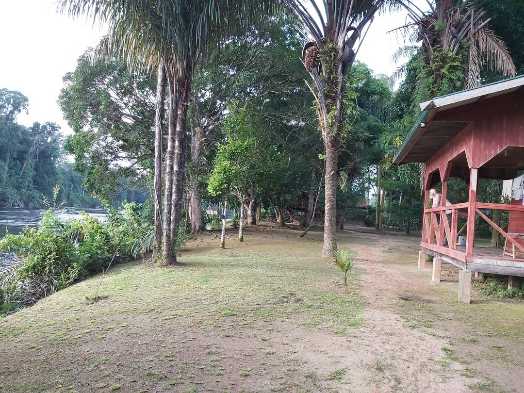 Jungle Resort Pingpé