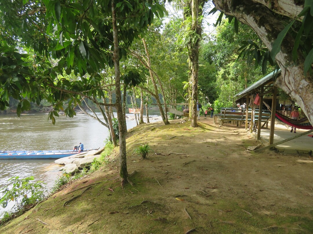 Jungle Resort Pingpé