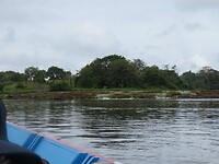 Junglewandeling Ananasberg - Tamawatrasula in zicht