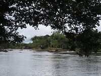 Zicht vanaf de korjaal op de Surinamerivier