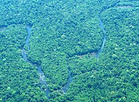 Surinamerivier vanuit de lucht