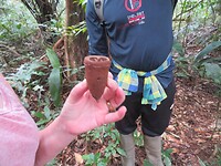 Enkel nog een bamboe rietje in het gaatje en je hebt een pijp!