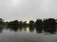 Morgenstond op de Surinamerivier