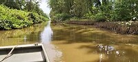 Tussen de mangroves in het Bigi Pan Natuurreservaat