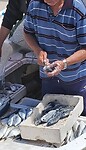 Visser aan 't werk in haven Sarandë