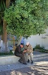 Weet jij misschien hoe WhatsApp werkt?