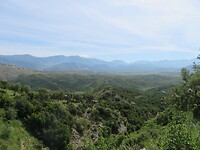 IMG_8628