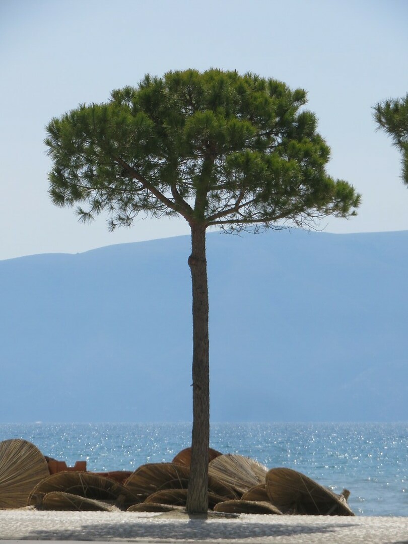 Het strand in Vlorë