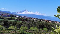 El Teide domineert het landschap