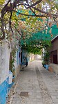 Straatje met bougainvilleas, in Kostinou
