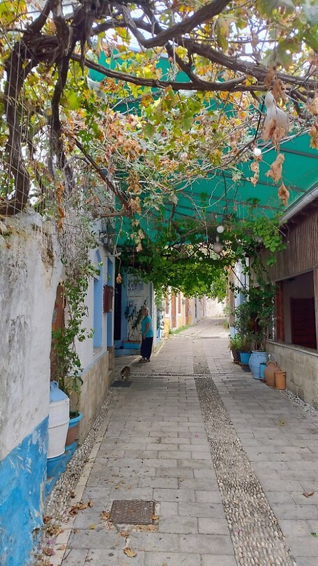 Straatje met bougainvilleas, in Kostinou
