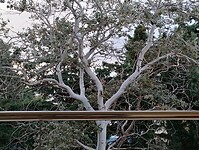 Zichtje vanop ons balkon in Rodos Palace