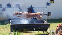 Schaap aan 't spit