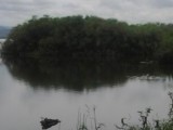the sound of silence