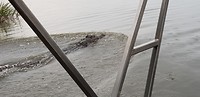 Krokodil naast ons bootje