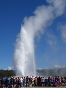 Old Faithful